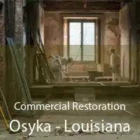 Commercial Restoration Osyka - Louisiana