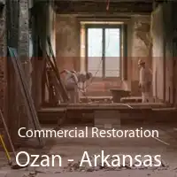 Commercial Restoration Ozan - Arkansas