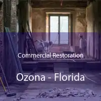 Commercial Restoration Ozona - Florida