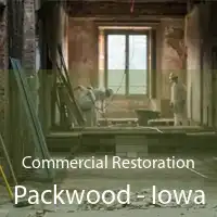 Commercial Restoration Packwood - Iowa