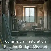 Commercial Restoration Palatine Bridge - Missouri