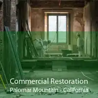 Commercial Restoration Palomar Mountain - California