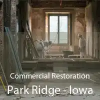 Commercial Restoration Park Ridge - Iowa