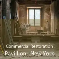 Commercial Restoration Pavillion - New York