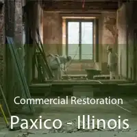 Commercial Restoration Paxico - Illinois