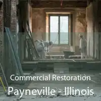 Commercial Restoration Payneville - Illinois