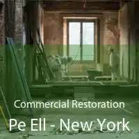 Commercial Restoration Pe Ell - New York