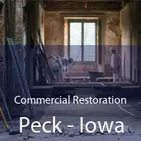 Commercial Restoration Peck - Iowa