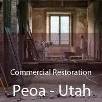 Commercial Restoration Peoa - Utah