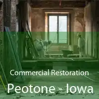 Commercial Restoration Peotone - Iowa