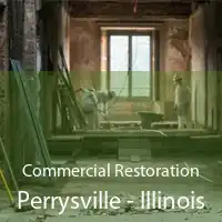 Commercial Restoration Perrysville - Illinois