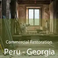 Commercial Restoration Peru - Georgia