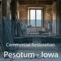 Commercial Restoration Pesotum - Iowa