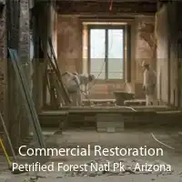 Commercial Restoration Petrified Forest Natl Pk - Arizona