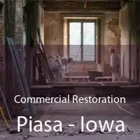 Commercial Restoration Piasa - Iowa