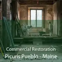 Commercial Restoration Picuris Pueblo - Maine