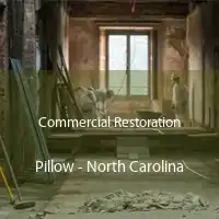 Commercial Restoration Pillow - North Carolina