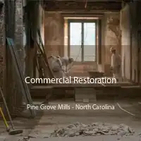 Commercial Restoration Pine Grove Mills - North Carolina