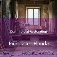 Commercial Restoration Pine Lake - Florida