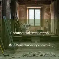 Commercial Restoration Pine Mountain Valley - Georgia