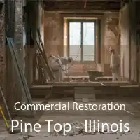 Commercial Restoration Pine Top - Illinois
