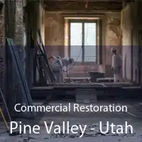 Commercial Restoration Pine Valley - Utah