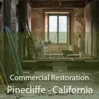 Commercial Restoration Pinecliffe - California