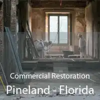 Commercial Restoration Pineland - Florida