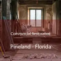 Commercial Restoration Pineland - Florida