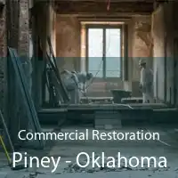 Commercial Restoration Piney - Oklahoma