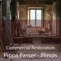 Commercial Restoration Pippa Passes - Illinois
