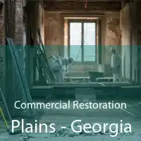 Commercial Restoration Plains - Georgia