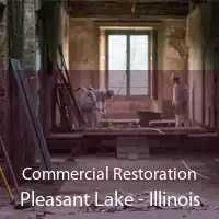Commercial Restoration Pleasant Lake - Illinois
