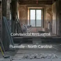 Commercial Restoration Plumville - North Carolina