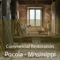Commercial Restoration Pocola - Mississippi
