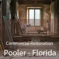 Commercial Restoration Pooler - Florida