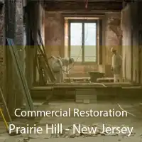 Commercial Restoration Prairie Hill - New Jersey