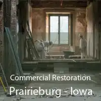 Commercial Restoration Prairieburg - Iowa
