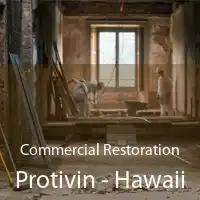 Commercial Restoration Protivin - Hawaii