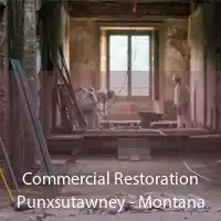 Commercial Restoration Punxsutawney - Montana