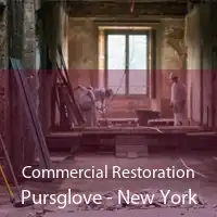 Commercial Restoration Pursglove - New York