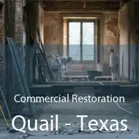 Commercial Restoration Quail - Texas
