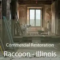 Commercial Restoration Raccoon - Illinois