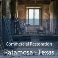 Commercial Restoration Ratamosa - Texas