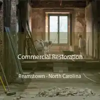 Commercial Restoration Reamstown - North Carolina