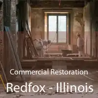 Commercial Restoration Redfox - Illinois