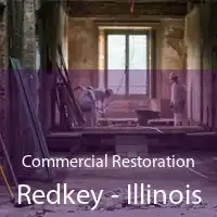 Commercial Restoration Redkey - Illinois