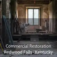 Commercial Restoration Redwood Falls - Kentucky