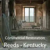 Commercial Restoration Reeds - Kentucky