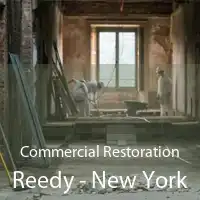 Commercial Restoration Reedy - New York